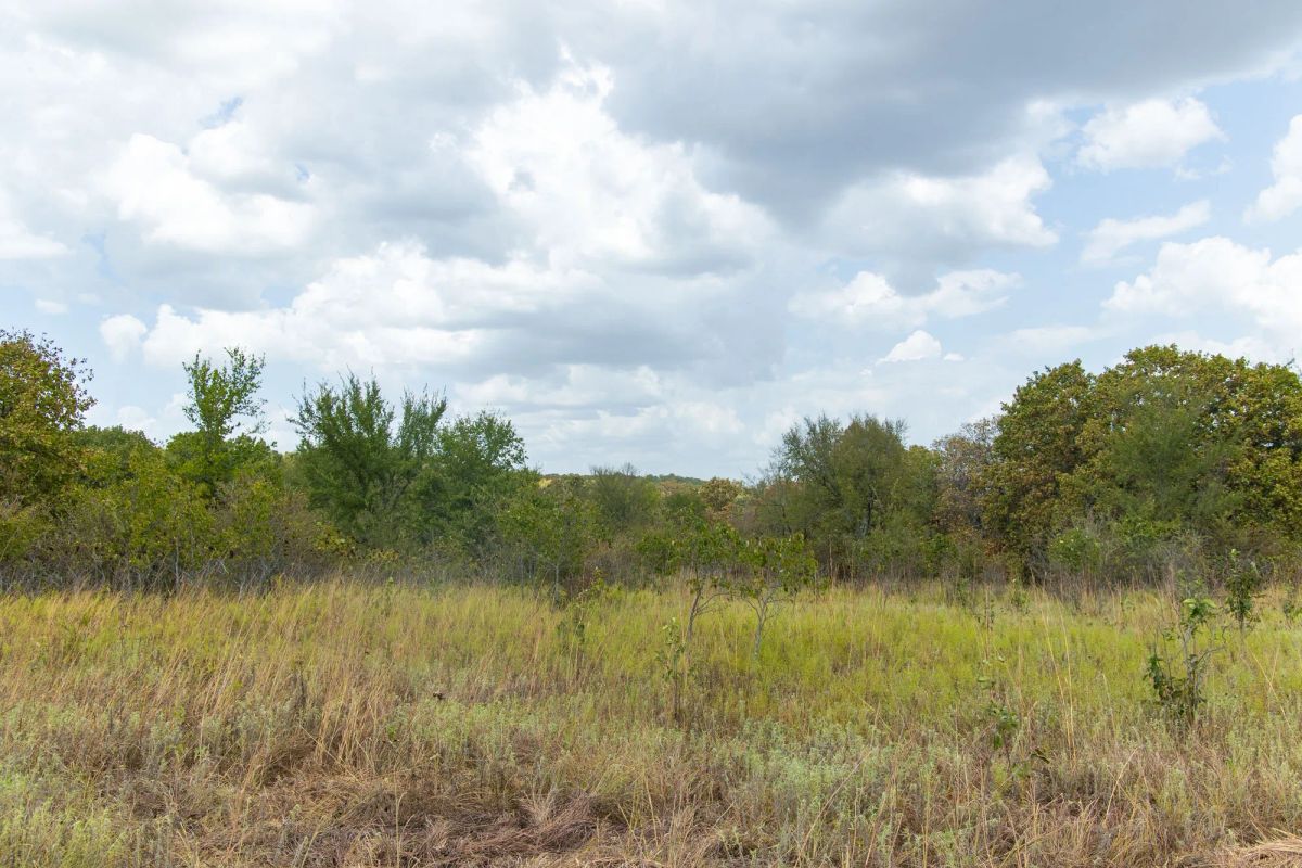 Decorative background for Gracyn Meadows Tract 4 image 9
