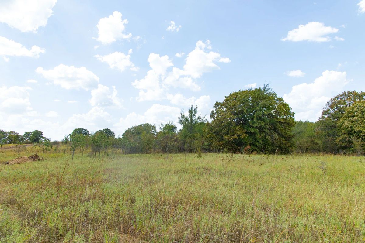 Decorative background for Gracyn Meadows Tract 4 image 12