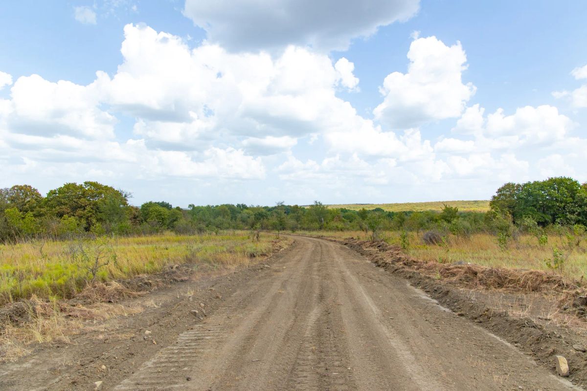 Decorative background for Gracyn Meadows Tract 4 image 13
