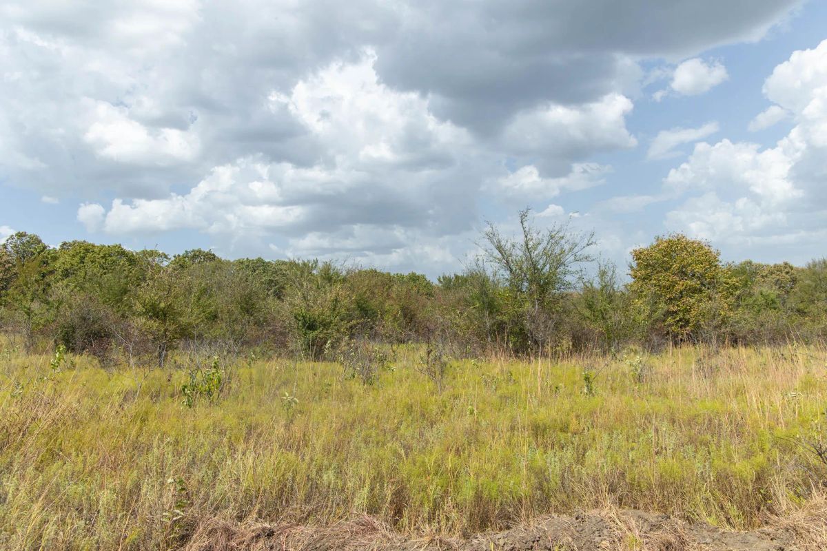 Decorative background for Gracyn Meadows Tract 4 image 14