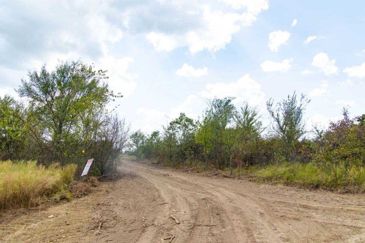 Decorative background for Gracyn Meadows Tract 4 image 15