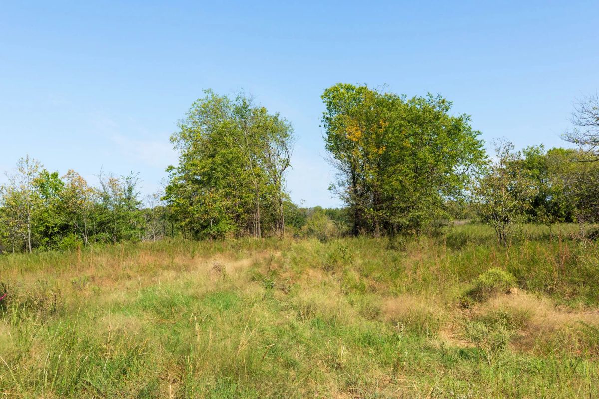 Canyon Creek Tract 15 - Main image
