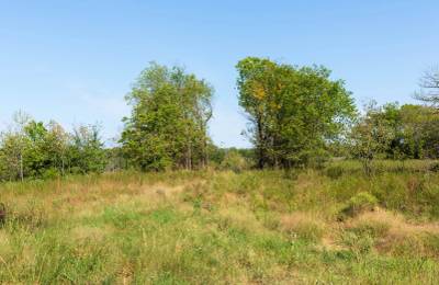 Canyon Creek Tract 15