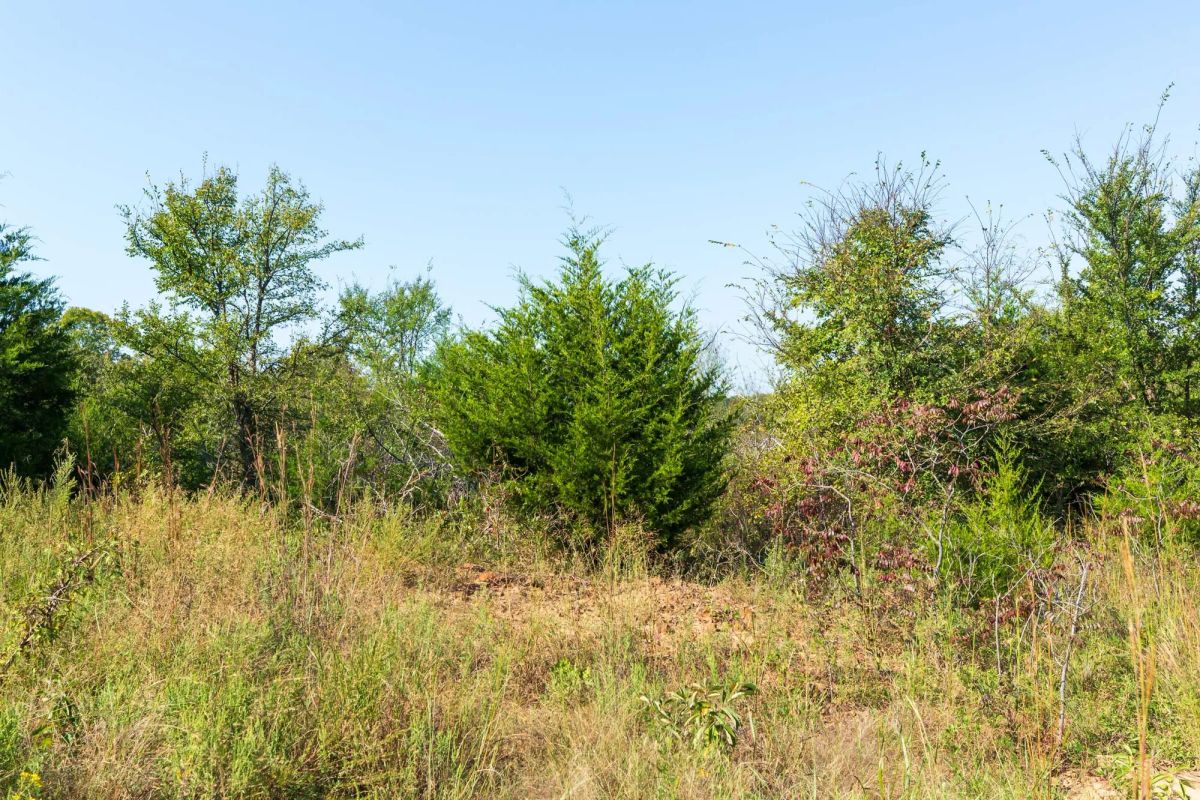 Canyon Creek Tract 15 - Image 2