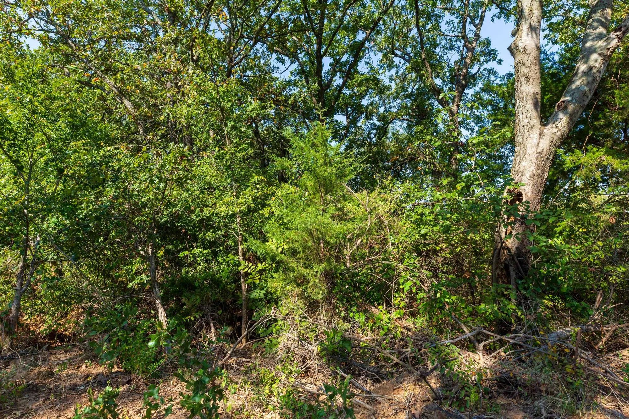 Canyon Creek Tract 15 in Lincoln County, OK