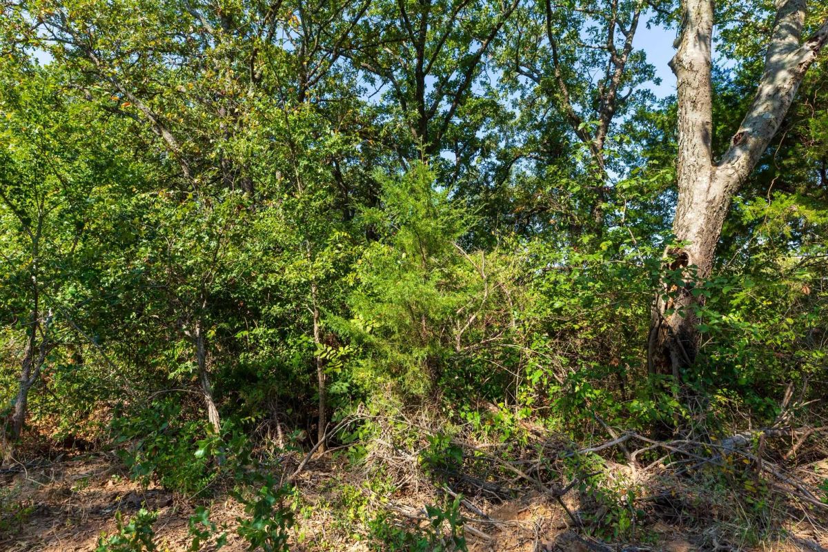 Canyon Creek Tract 15 - Image 3