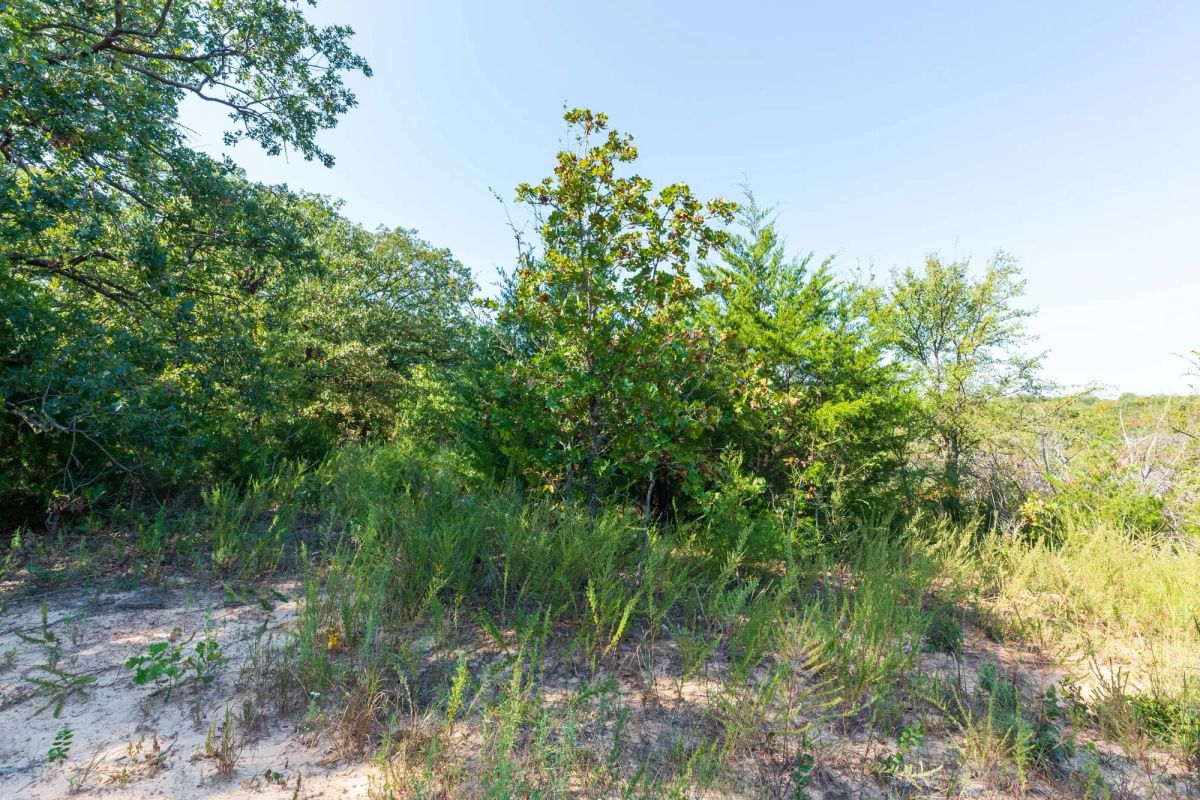 Decorative background for Canyon Creek Tract 15 image 5