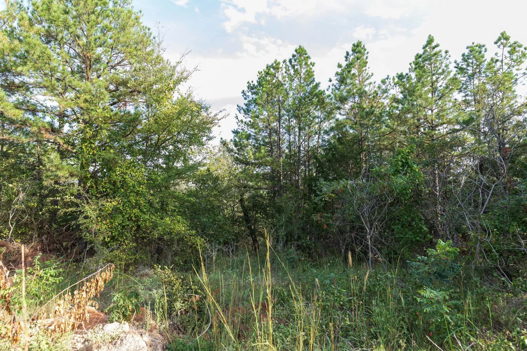 Stone Bridge Phase V Tract 400 in Latimer County, OK