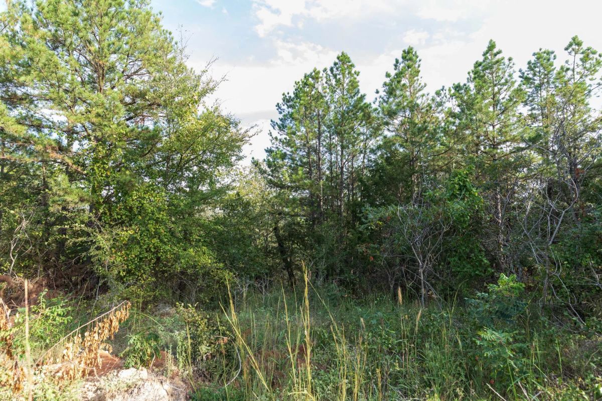 Stone Bridge Phase V Tract 400 - Image 4