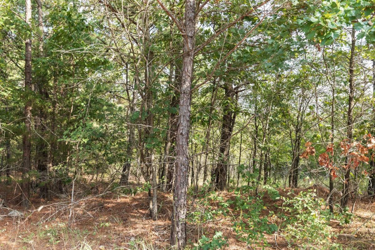 Decorative background for Stone Bridge Phase V Tract 400 image 6