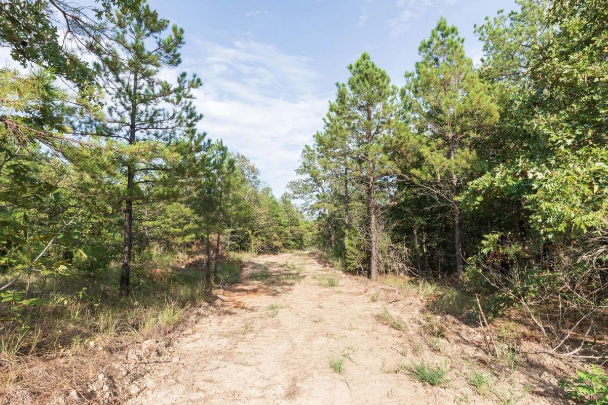 Decorative background for Stone Bridge Phase V Tract 400 image 7