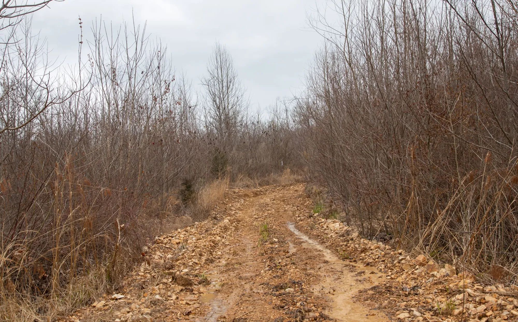 Southwind Ranch Tract 14 in Perry County, TN