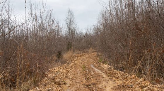 Southwind Ranch Tract 14 in Perry County, TN