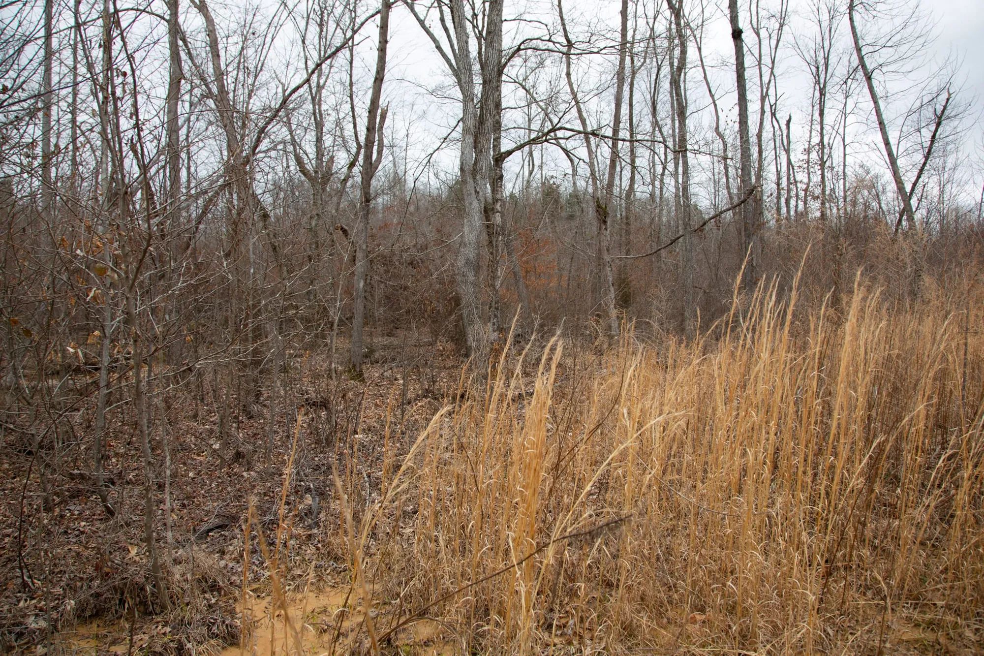 Southwind Ranch Tract 14 in Perry County, TN