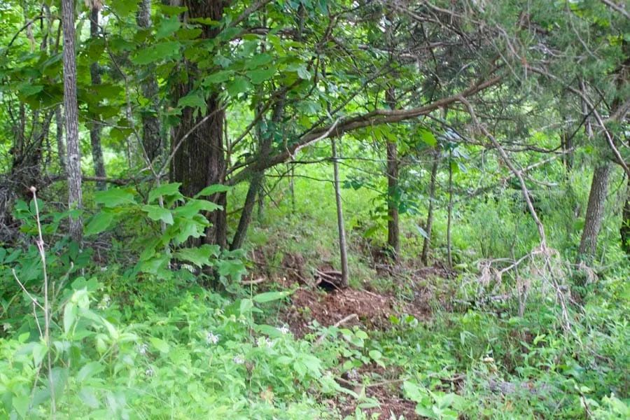 Thunder Mountain Ranch Tract 50 in Shannon County, MO