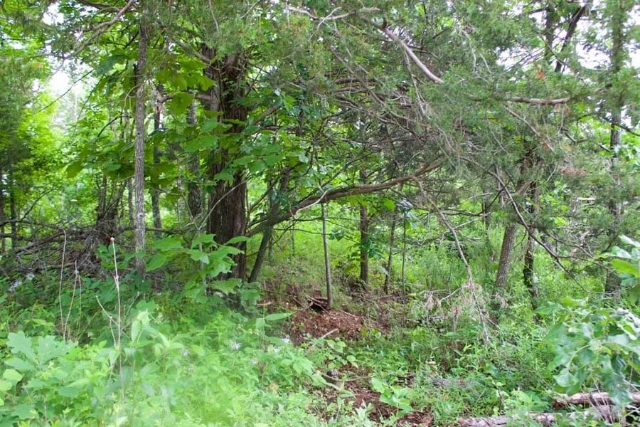 Thunder Mountain Ranch Tract 50 - Image 2