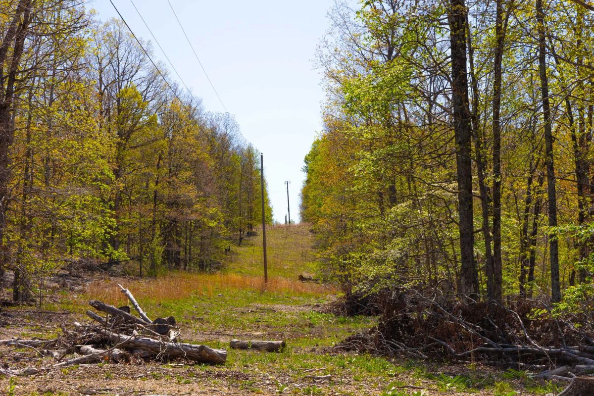 Lazybrook Tract 3 - Image 2