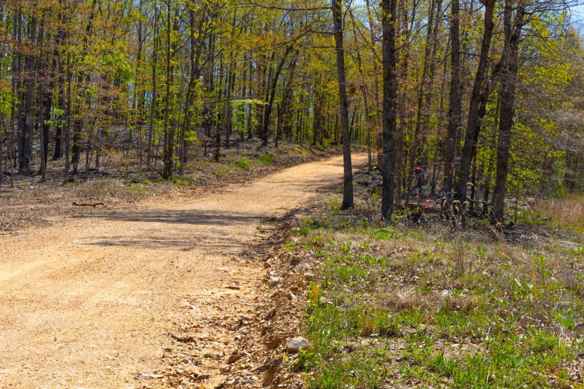 Lazybrook Tract 3 - Image 4