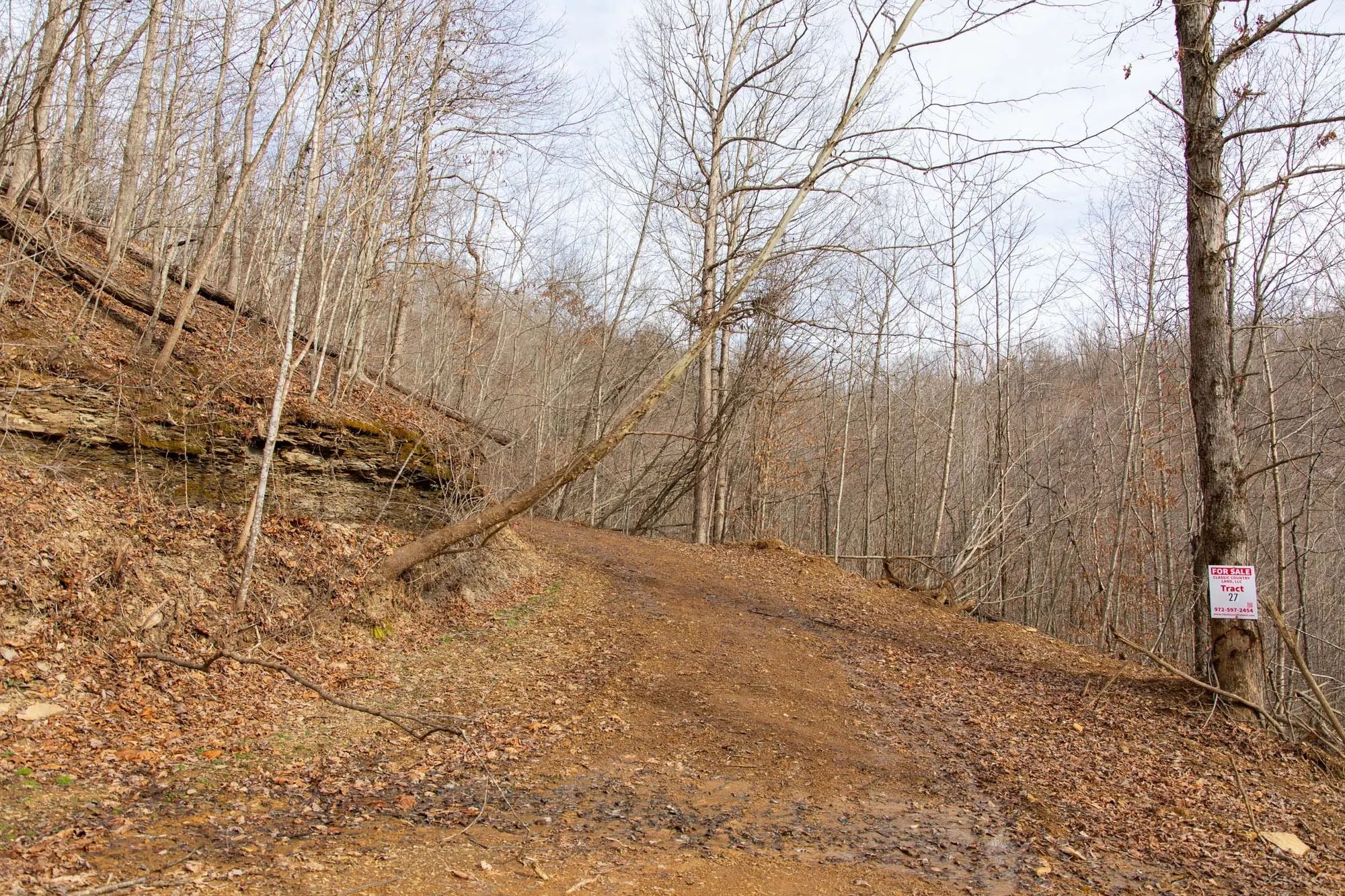 Blackstone Mountain Phase I Tract 27 in Clay County, KY