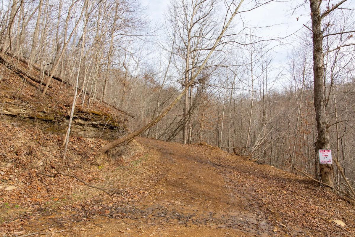 Blackstone Mountain Phase I Tract 27 - Main image