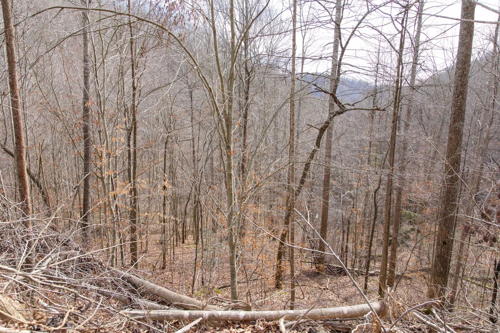 Blackstone Mountain Phase I Tract 27 in Clay County, KY