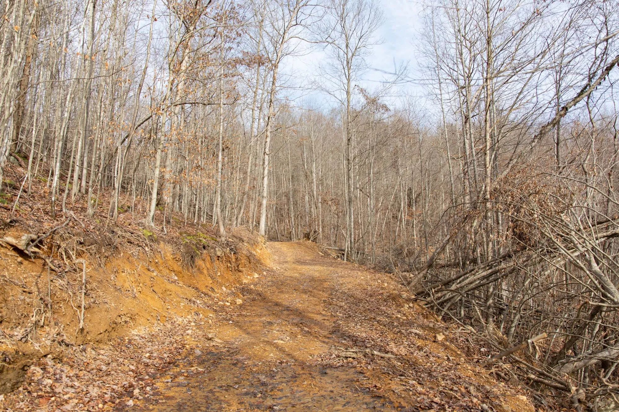 Blackstone Mountain Phase I Tract 27 in Clay County, KY