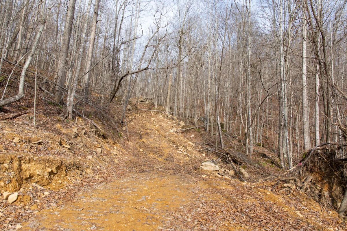 Decorative background for Blackstone Mountain Phase I Tract 27 image 5