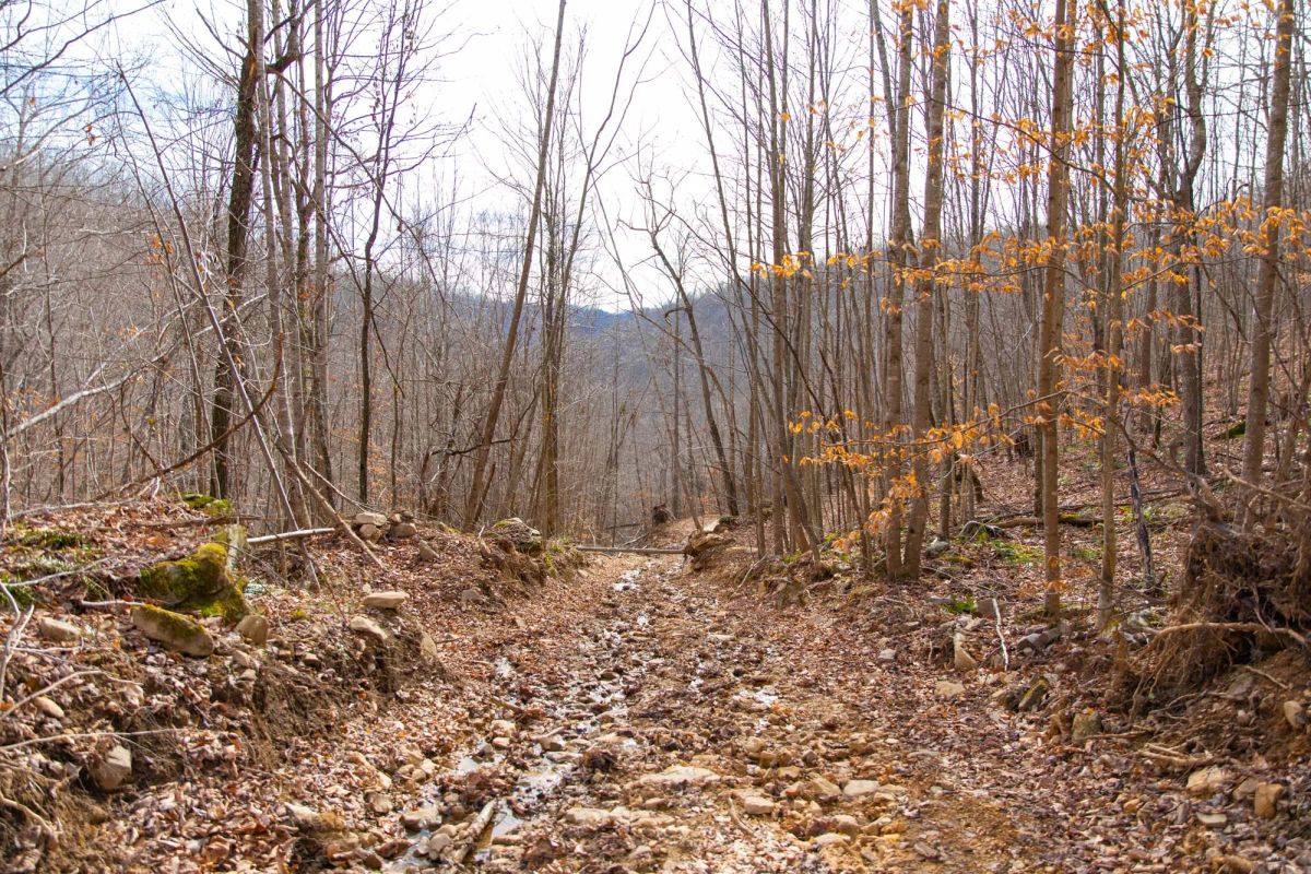 Decorative background for Blackstone Mountain Phase I Tract 27 image 7