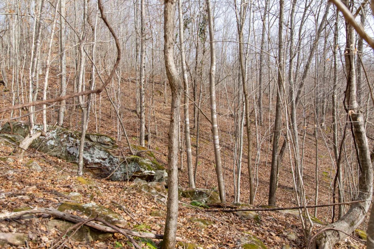 Decorative background for Blackstone Mountain Phase I Tract 27 image 8