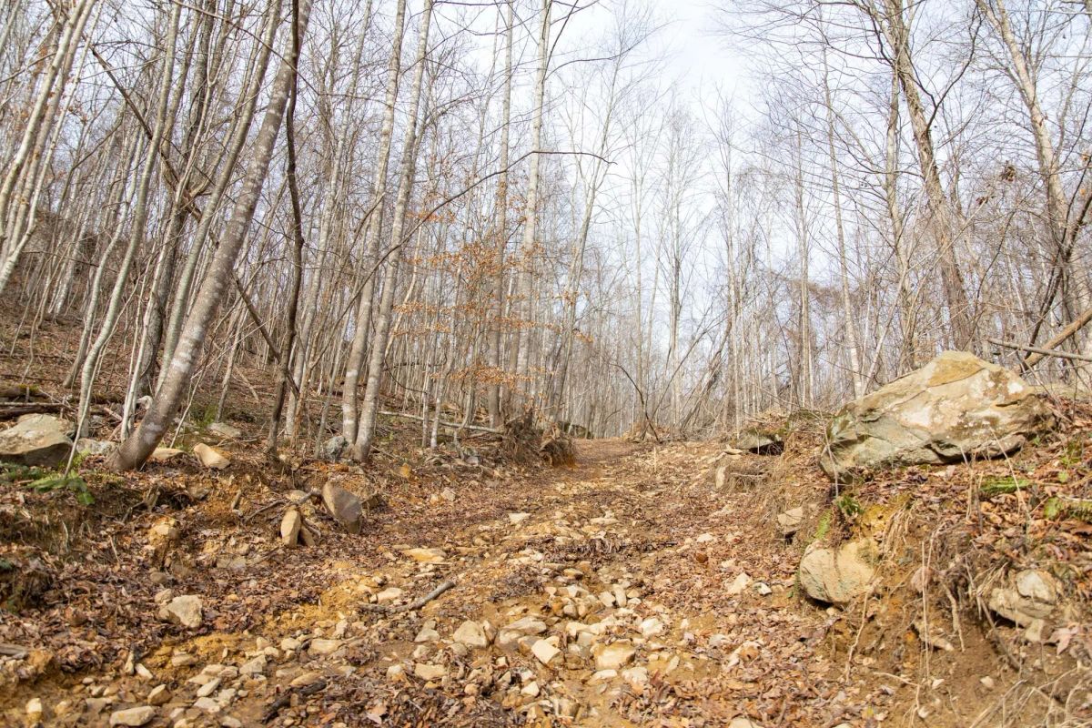 Decorative background for Blackstone Mountain Phase I Tract 27 image 9
