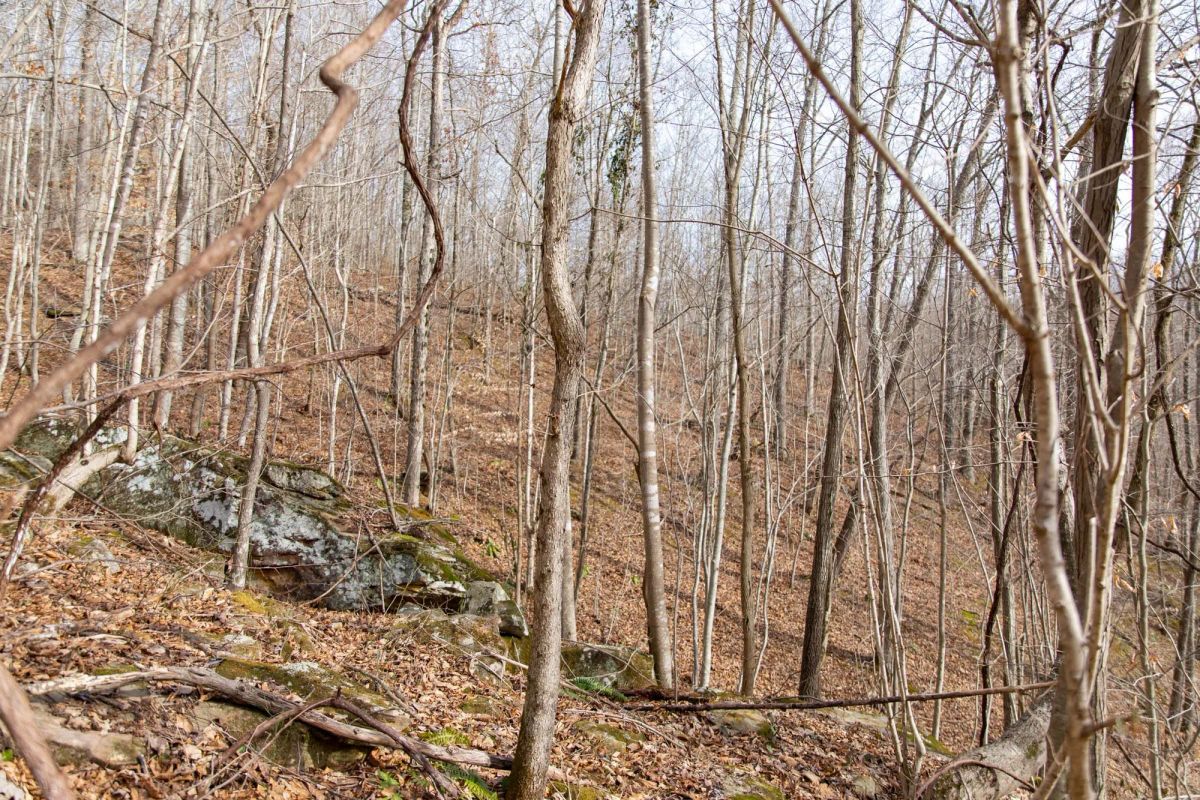 Decorative background for Blackstone Mountain Phase I Tract 27 image 10