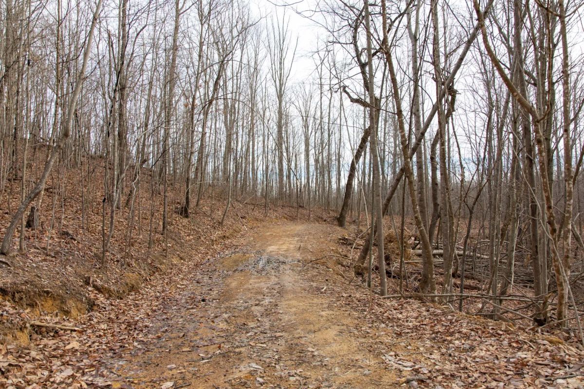 Decorative background for Blackstone Mountain Phase I Tract 27 image 12