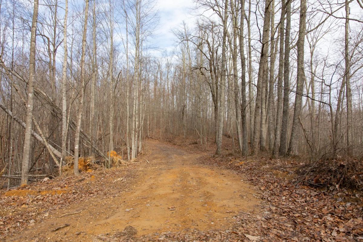 Decorative background for Blackstone Mountain Phase I Tract 27 image 16