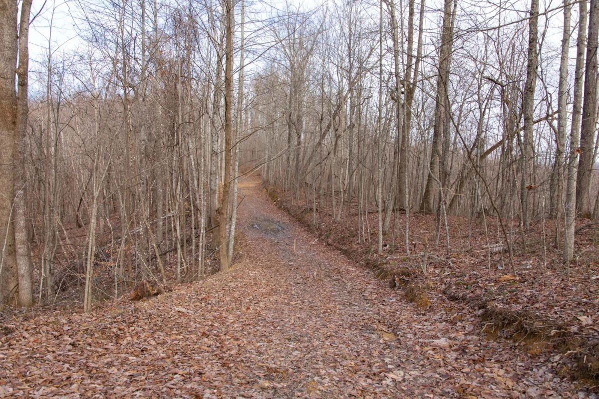 Decorative background for Blackstone Mountain Phase I Tract 27 image 19