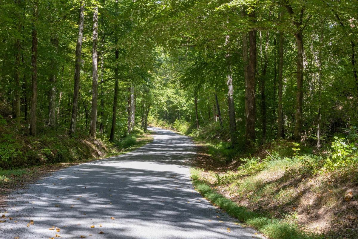 Big White Oak Tract 25 - Main image