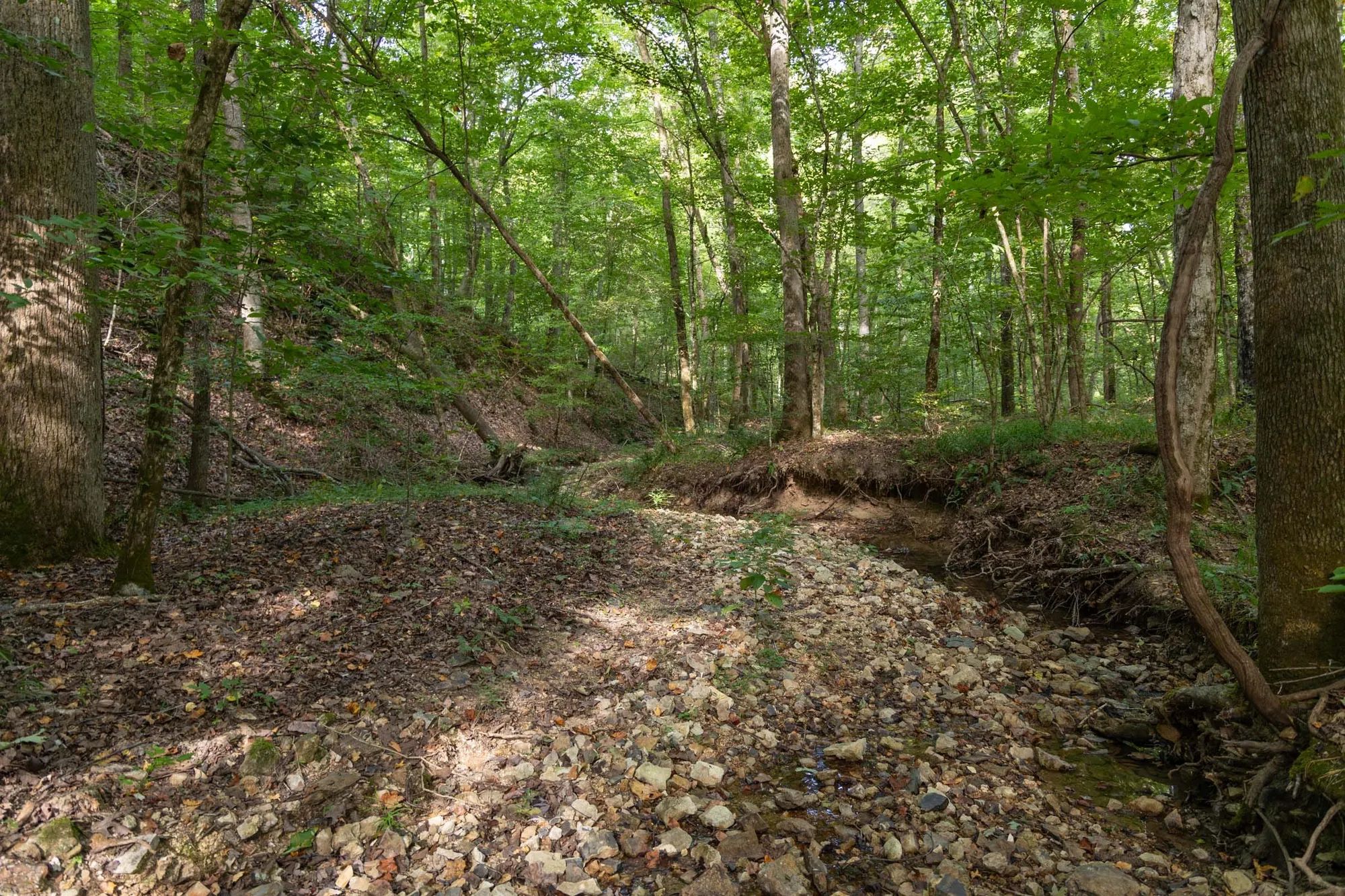 Big White Oak Tract 25 in Perry County, TN