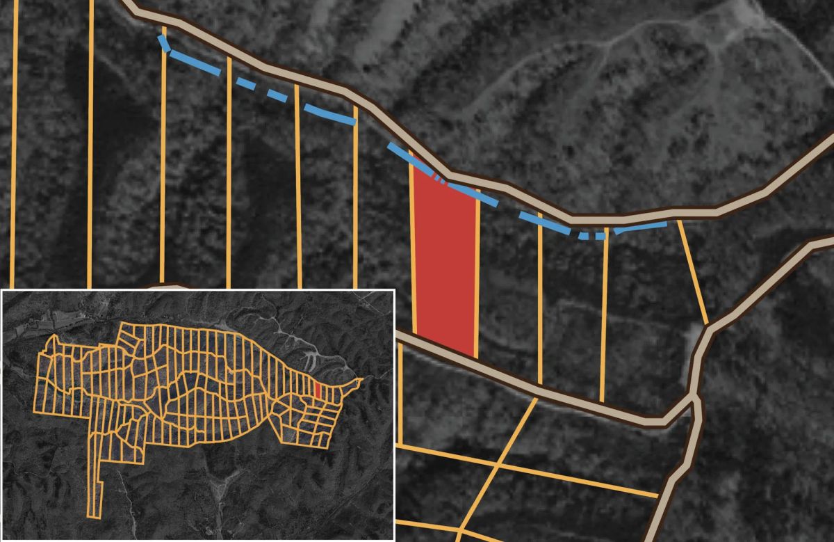Decorative background for Big White Oak Tract 25 image 10
