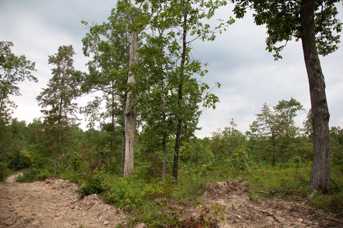Borgmann’s Hollow Phase II Tract 36 - Image 4