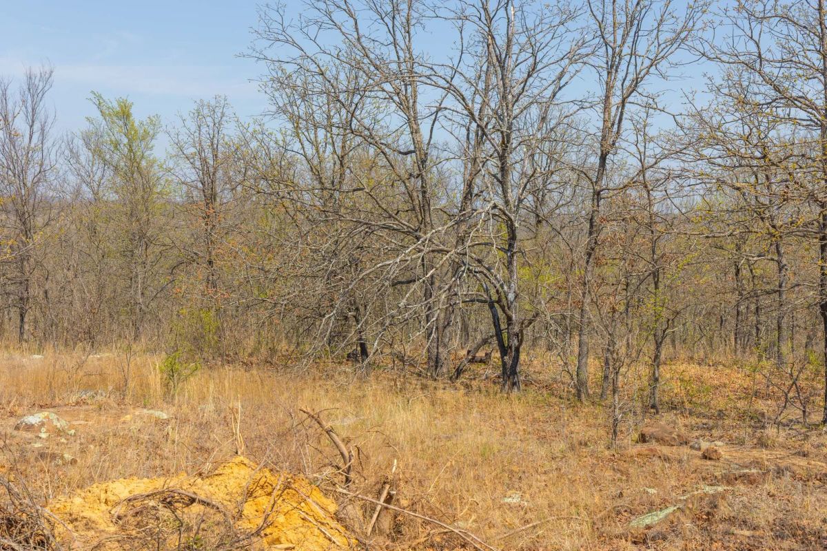 JLH Estates Tract 10 - Image 3
