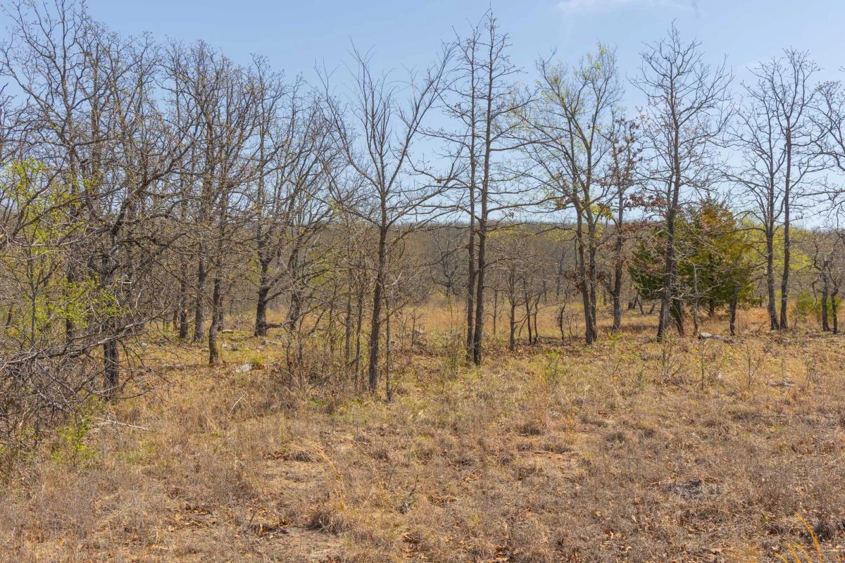 Decorative background for JLH Estates Tract 10 image 6