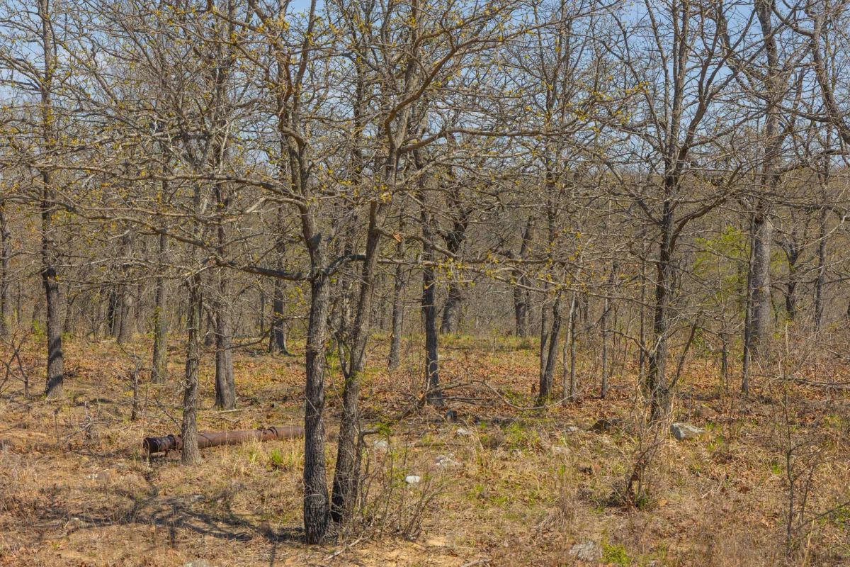 Decorative background for JLH Estates Tract 10 image 8
