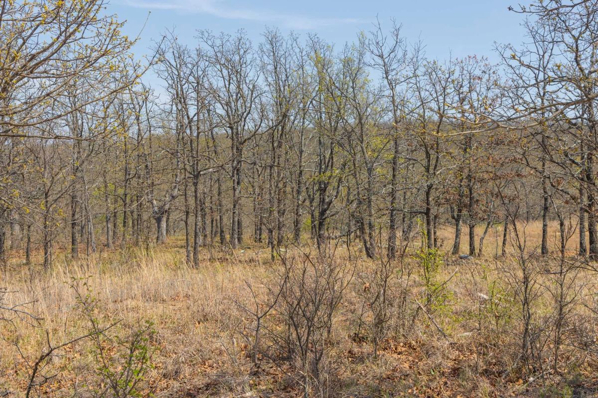 Decorative background for JLH Estates Tract 10 image 9