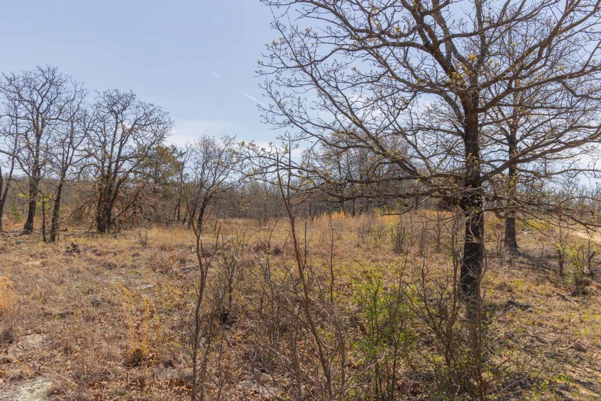 Decorative background for JLH Estates Tract 10 image 10