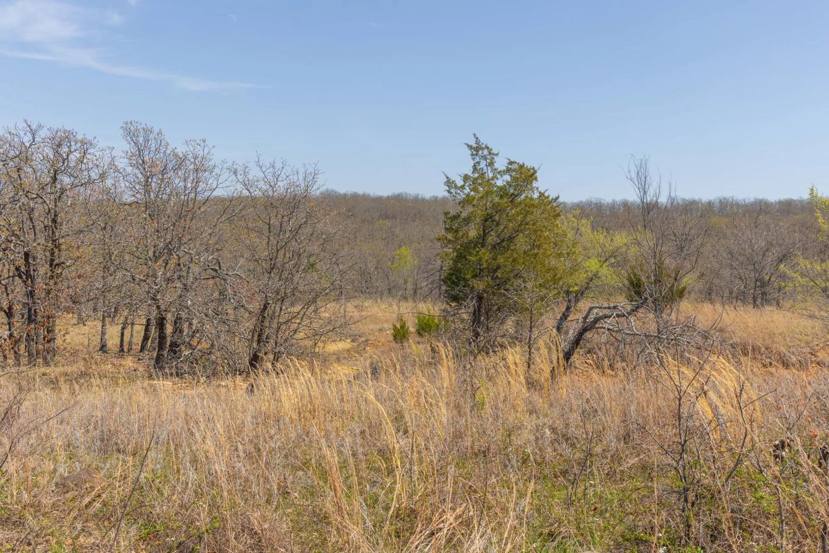Decorative background for JLH Estates Tract 10 image 12