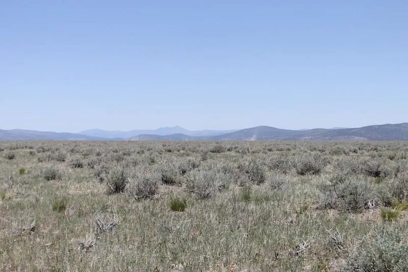 Decorative background for Moon Valley Ranch Tract 497 image 5