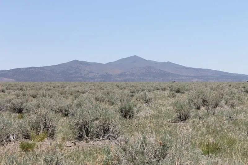 Decorative background for Moon Valley Ranch Tract 497 image 6