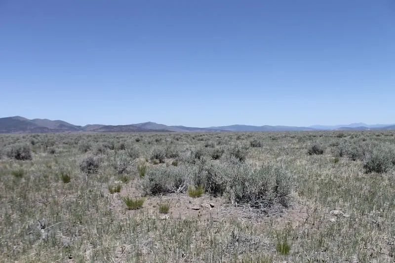 Decorative background for Moon Valley Ranch Tract 497 image 7