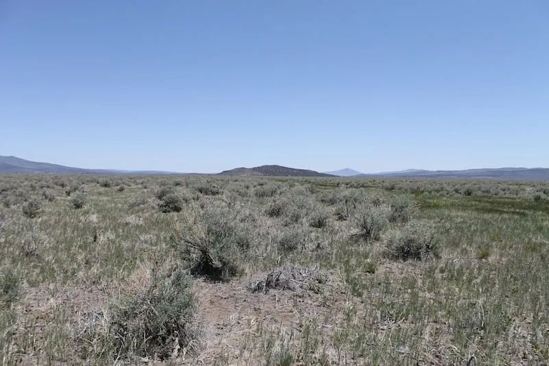 Decorative background for Moon Valley Ranch Tract 497 image 9