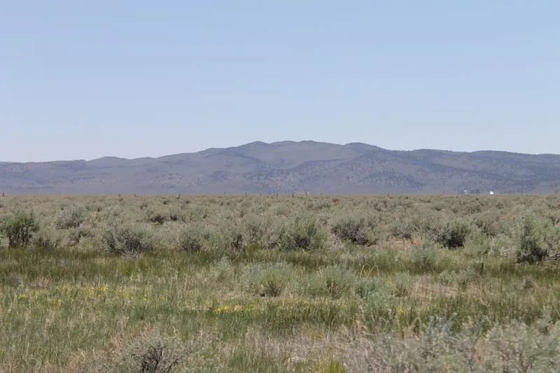 Decorative background for Moon Valley Ranch Tract 497 image 10