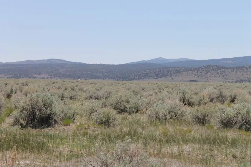 Decorative background for Moon Valley Ranch Tract 497 image 11